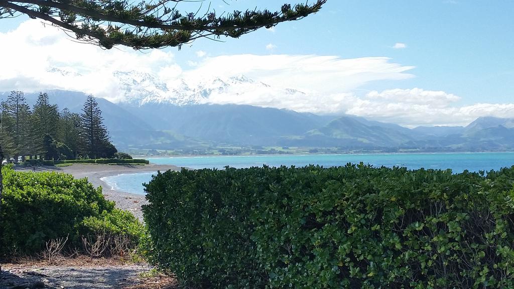 Waves Apartments Kaikoura Extérieur photo